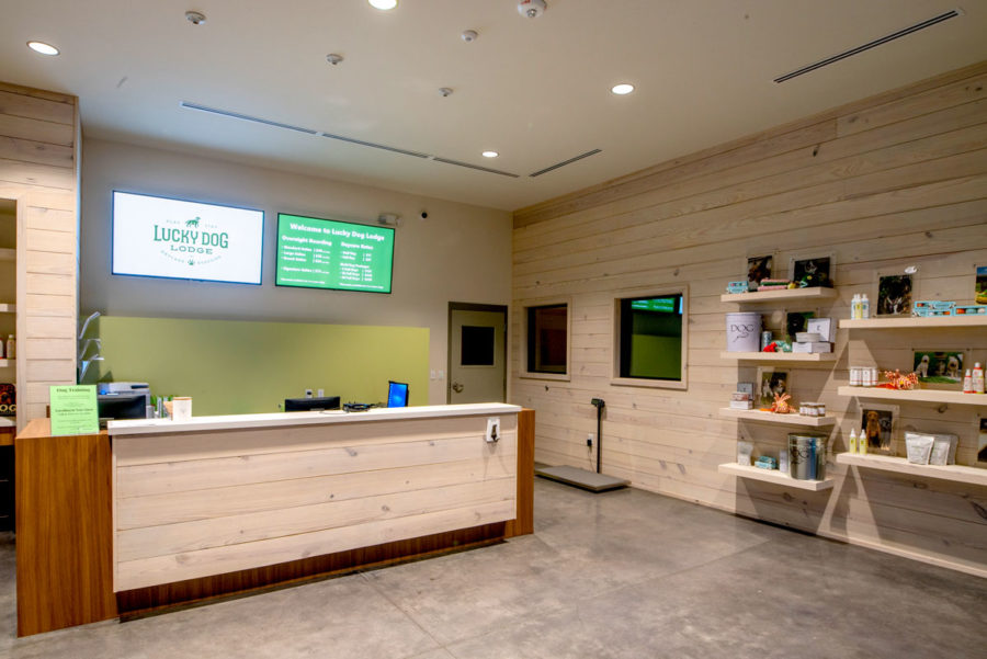 Interior reception at Lucky Dog Lodge, featuing woord accents and bright green walls.