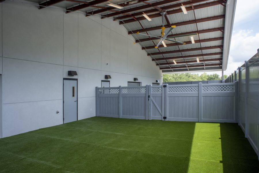 Shaded outdoor turf and play area at Lucky Dog Lodge.